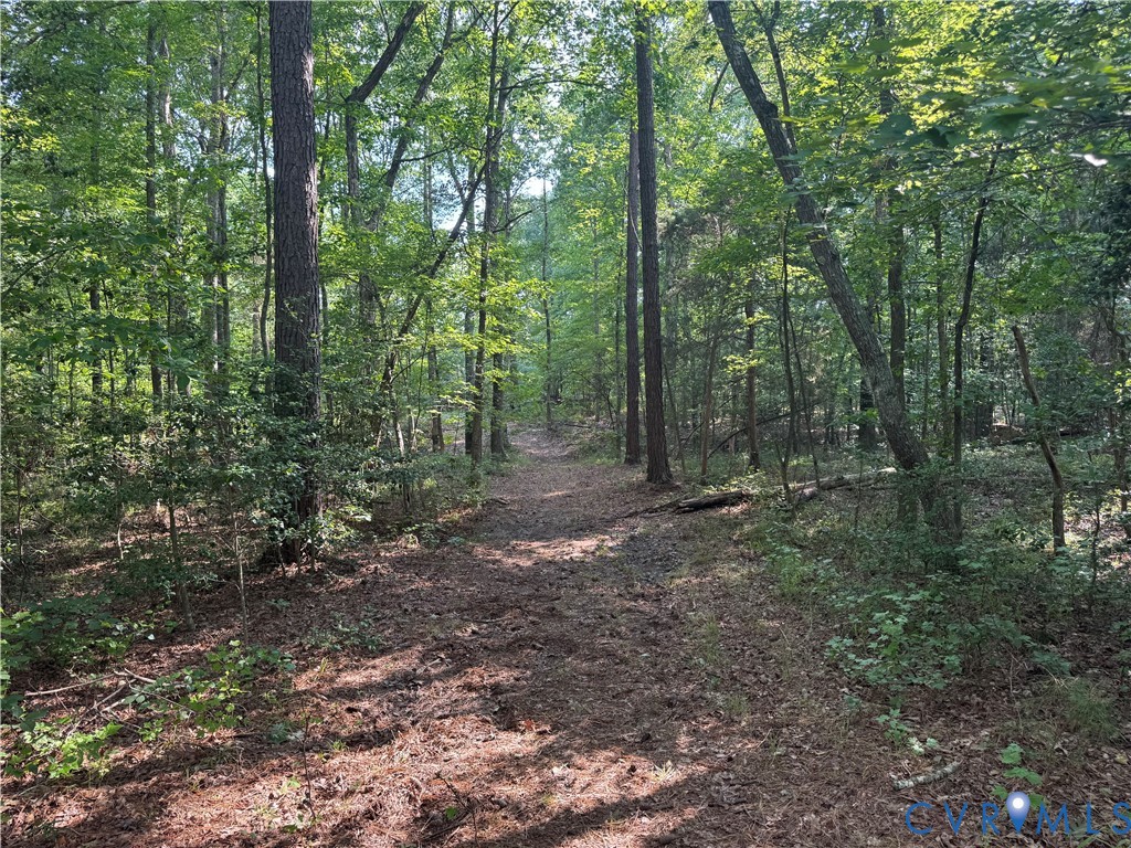 2033 Moseley Road Moseley, VA 23120 - Photo 49 of 50