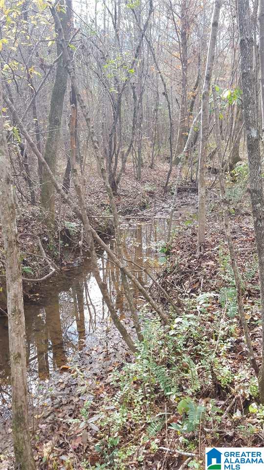 5588 Blakes Ferry Road Lineville, AL 36266 - Photo 19 of 23