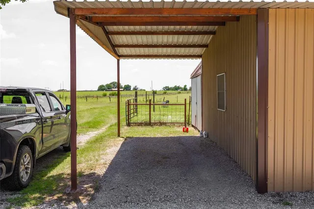 a view of a garden with a tree