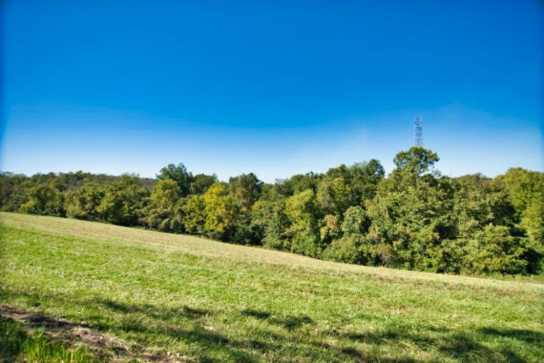 1080 Cole Road Winchester, KY 40391 - Photo 13 of 81 Photo 13