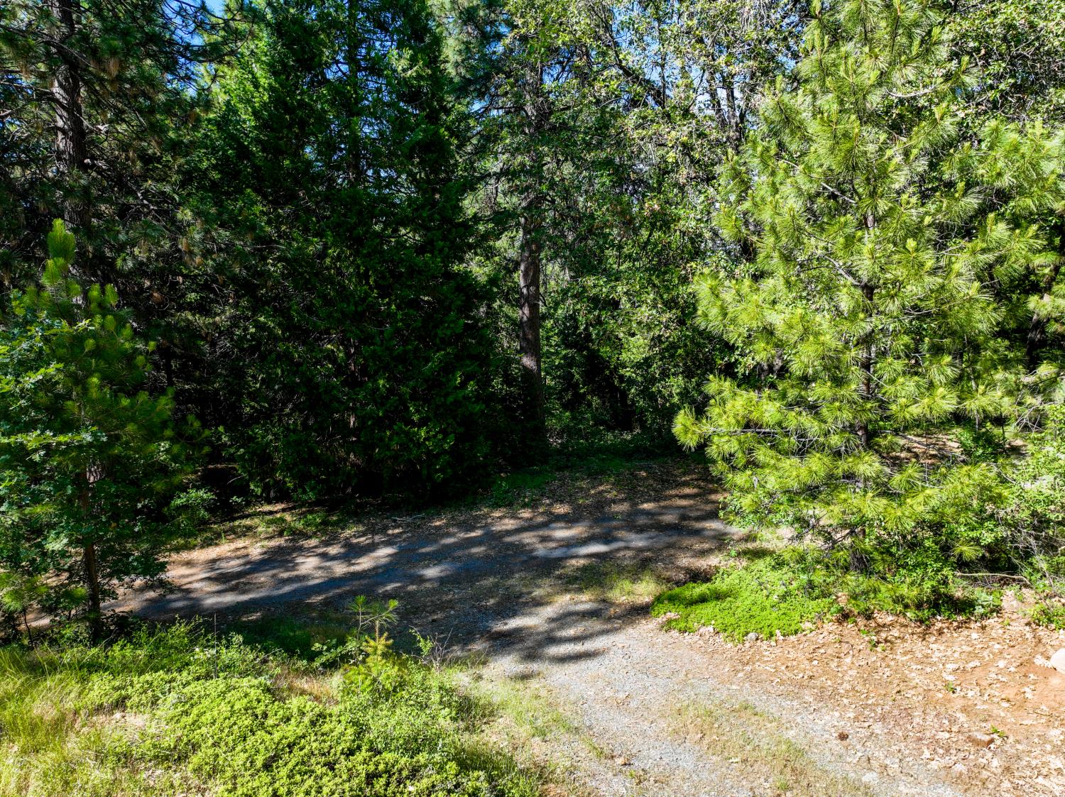 30220 Magra Road Gold Run, CA 95717 - Photo 17 of 51