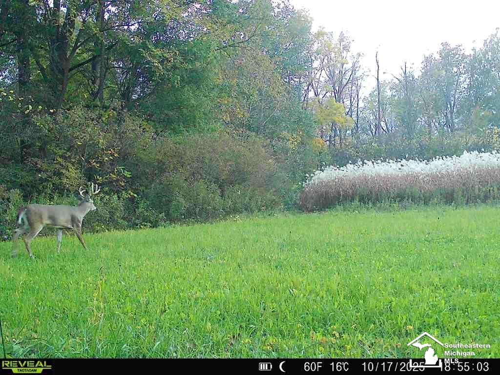 13343 Ostrander Road Maybee, MI 48159 - Photo 16 of 19