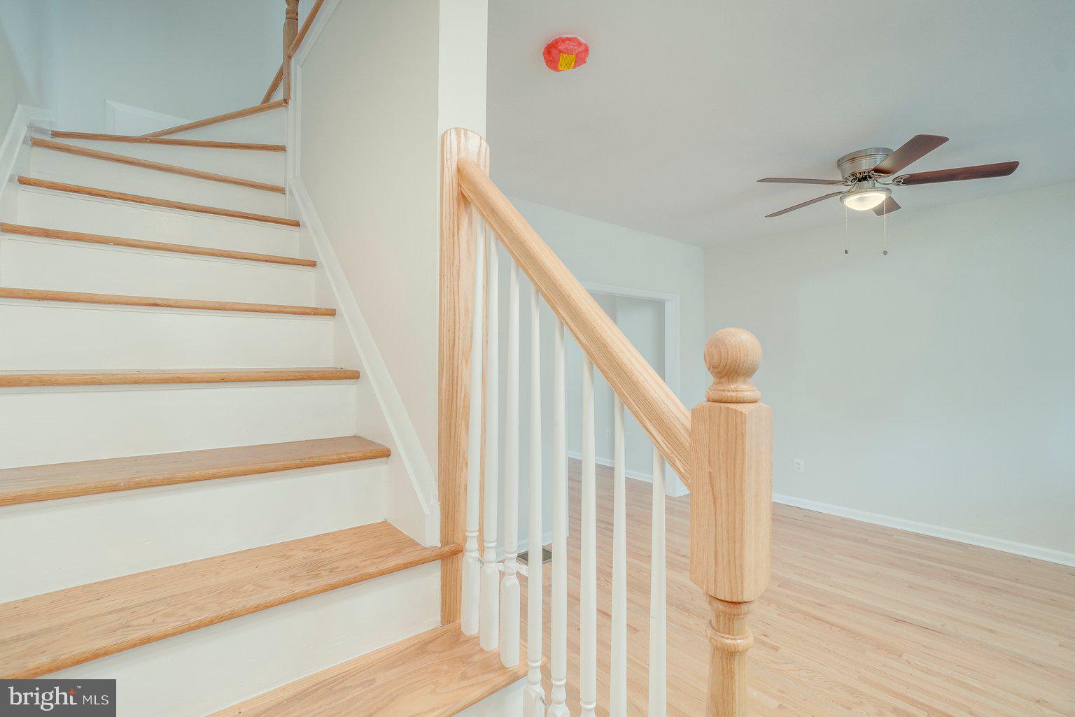4283 Falls Road Baltimore, MD 21211 - Photo 8 of 22 Gallery Image 8