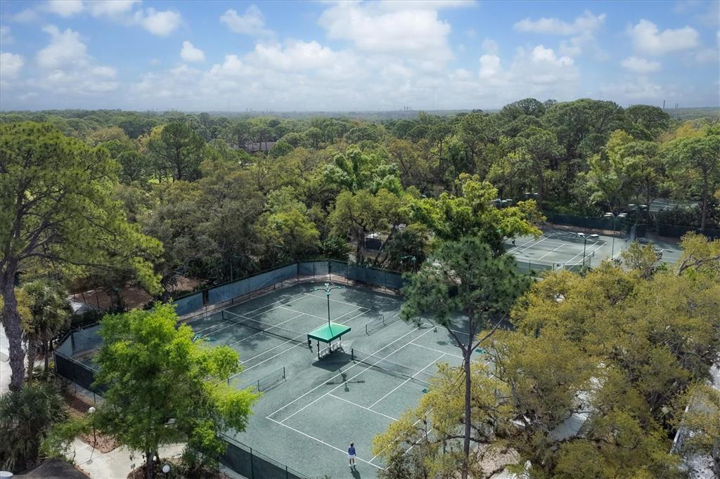 5058 Marsh Field Road, Unit 8 Sarasota, FL 34235 - Photo 73 of 73