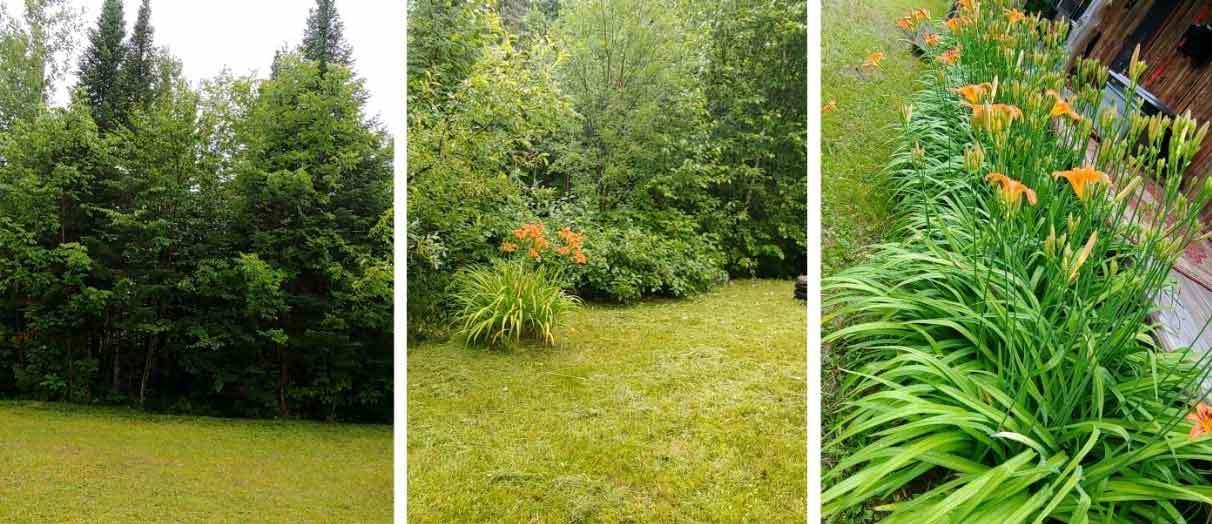 222 Tracy Road Amity, ME 04471 - Photo 44 of 44 yard-lawn-amity-camp-land