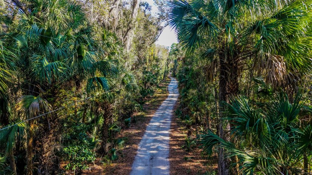 Off 212th Lane Hawthorne, FL 32640 - Photo 11 of 29 a view of a pathway both side of yard