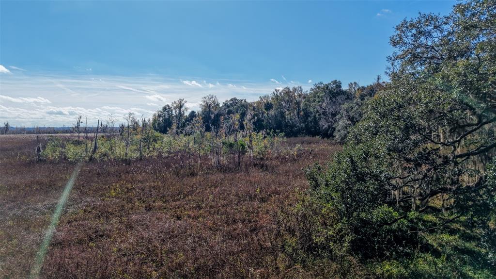 Off 212th Lane Hawthorne, FL 32640 - Photo 15 of 29 a view of a large yard with lots of green space