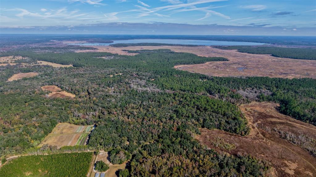 Off 212th Lane Hawthorne, FL 32640 - Photo 21 of 29 a view of a yard with an outdoor space and seating area