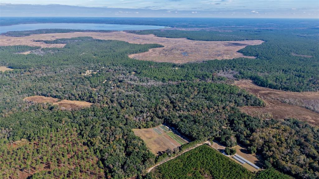 Off 212th Lane Hawthorne, FL 32640 - Photo 22 of 29 a view of a yard with an outdoor space