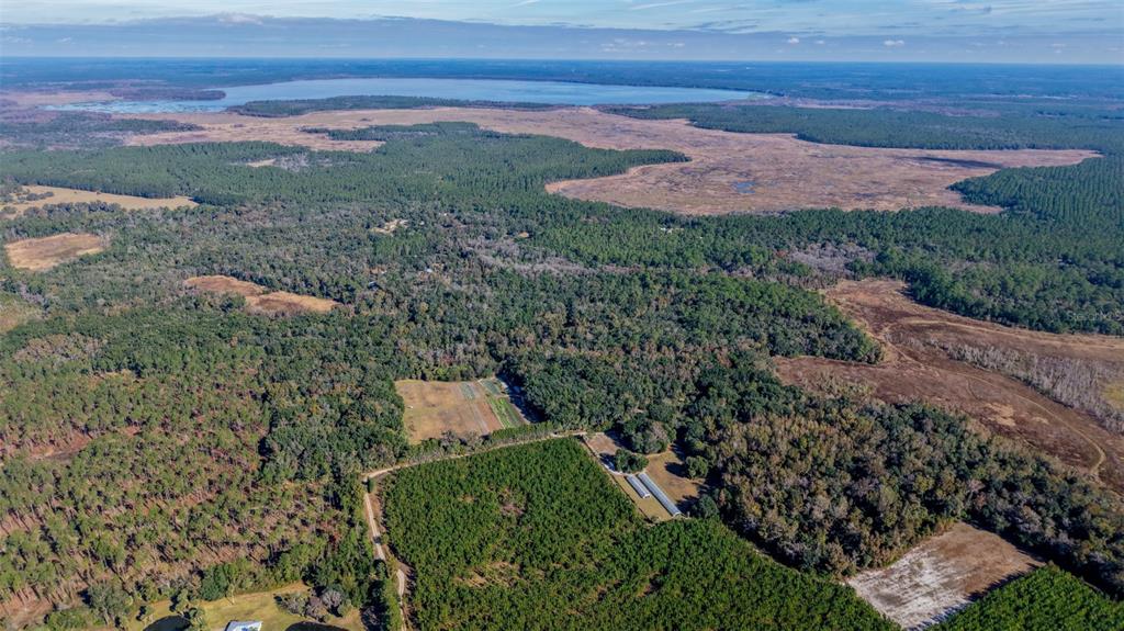 Off 212th Lane Hawthorne, FL 32640 - Photo 6 of 29 a view of a yard with an outdoor space