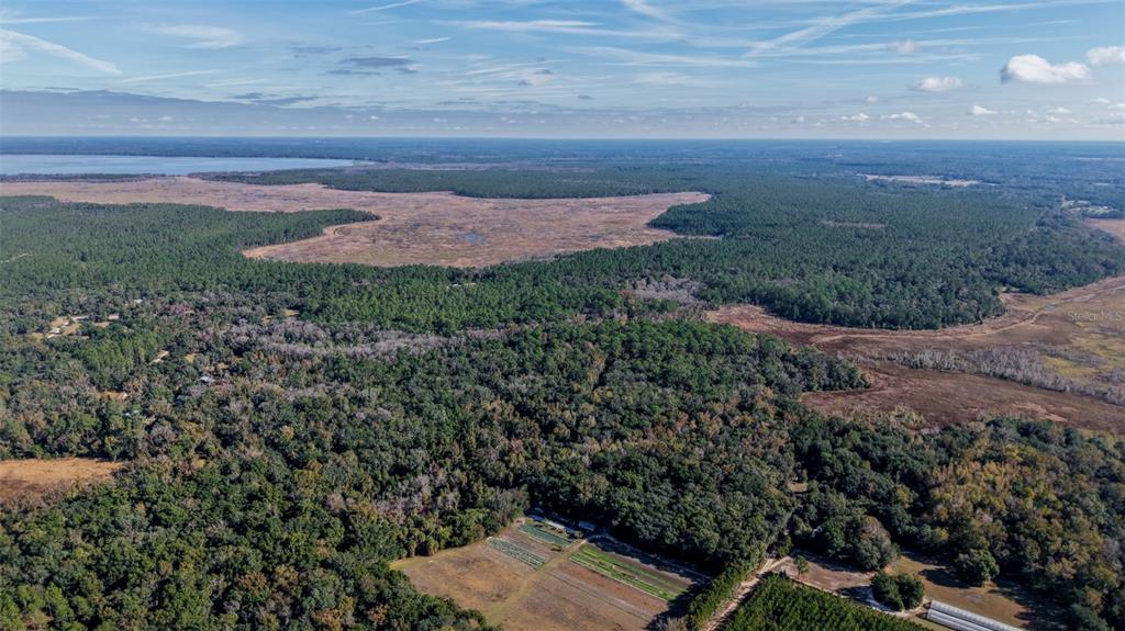 Off 212th Lane Hawthorne, FL 32640 - Photo 8 of 29 a view of a yard in front of the house