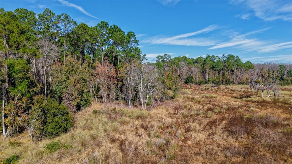 Off 212th Lane Hawthorne, FL 32640 - Photo 10 of 29 a view of a yard with trees