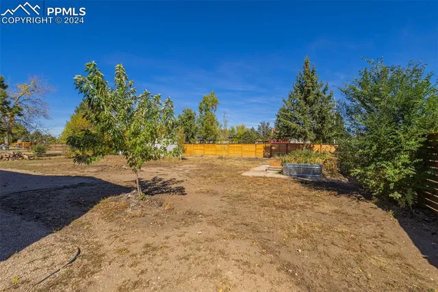 a view of a yard with a tree
