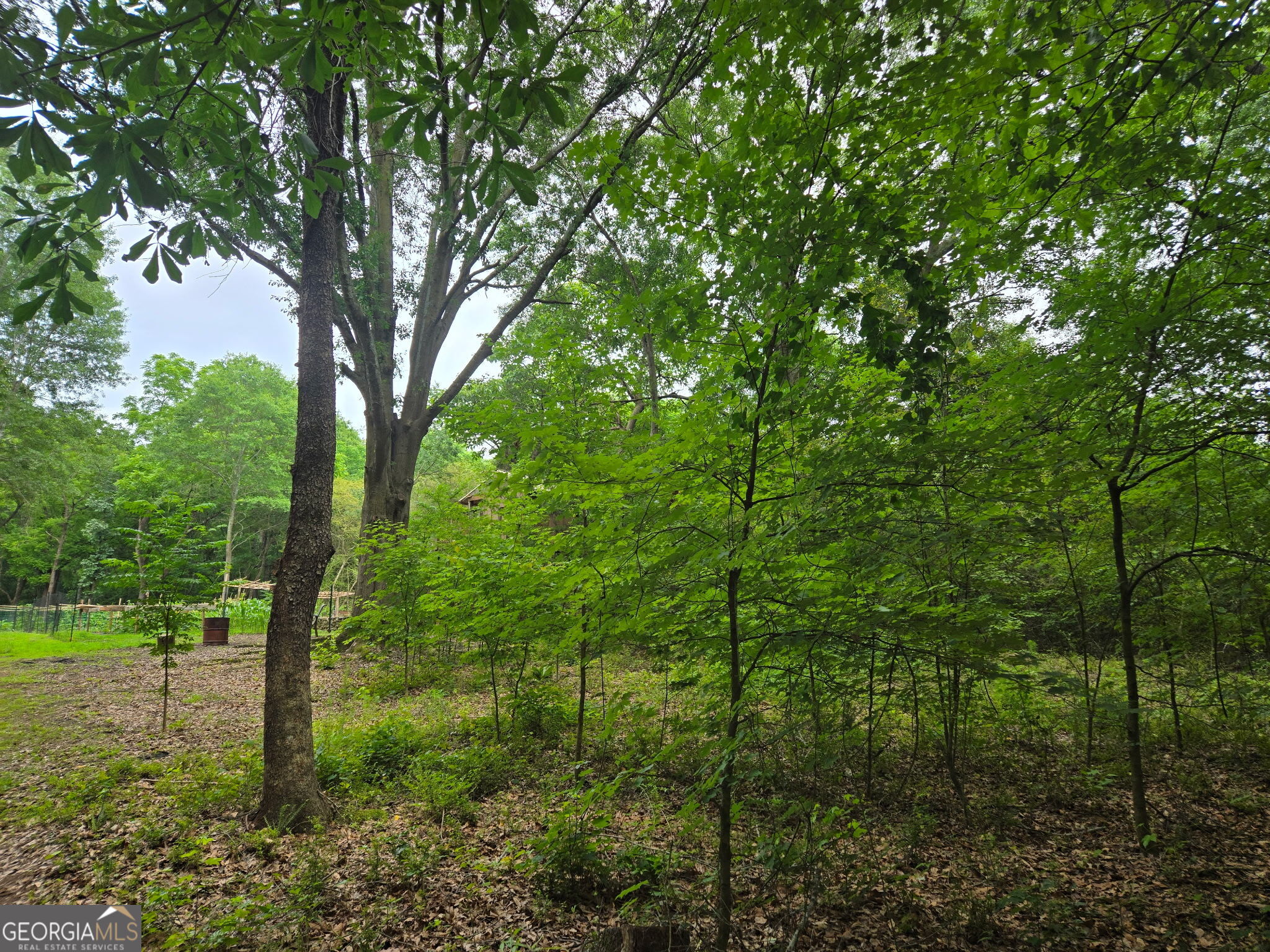 1109 Dixon Bridge Road Maysville, GA 30558 - Photo 7 of 15