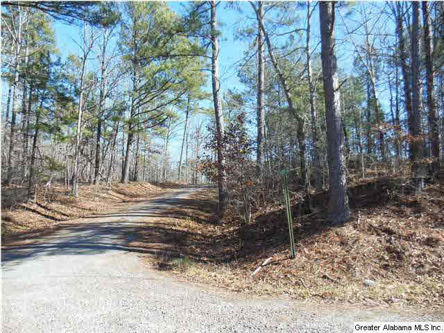 Heather Circle, Unit 1 Oneonta, AL 35121 - Photo 4 of 10