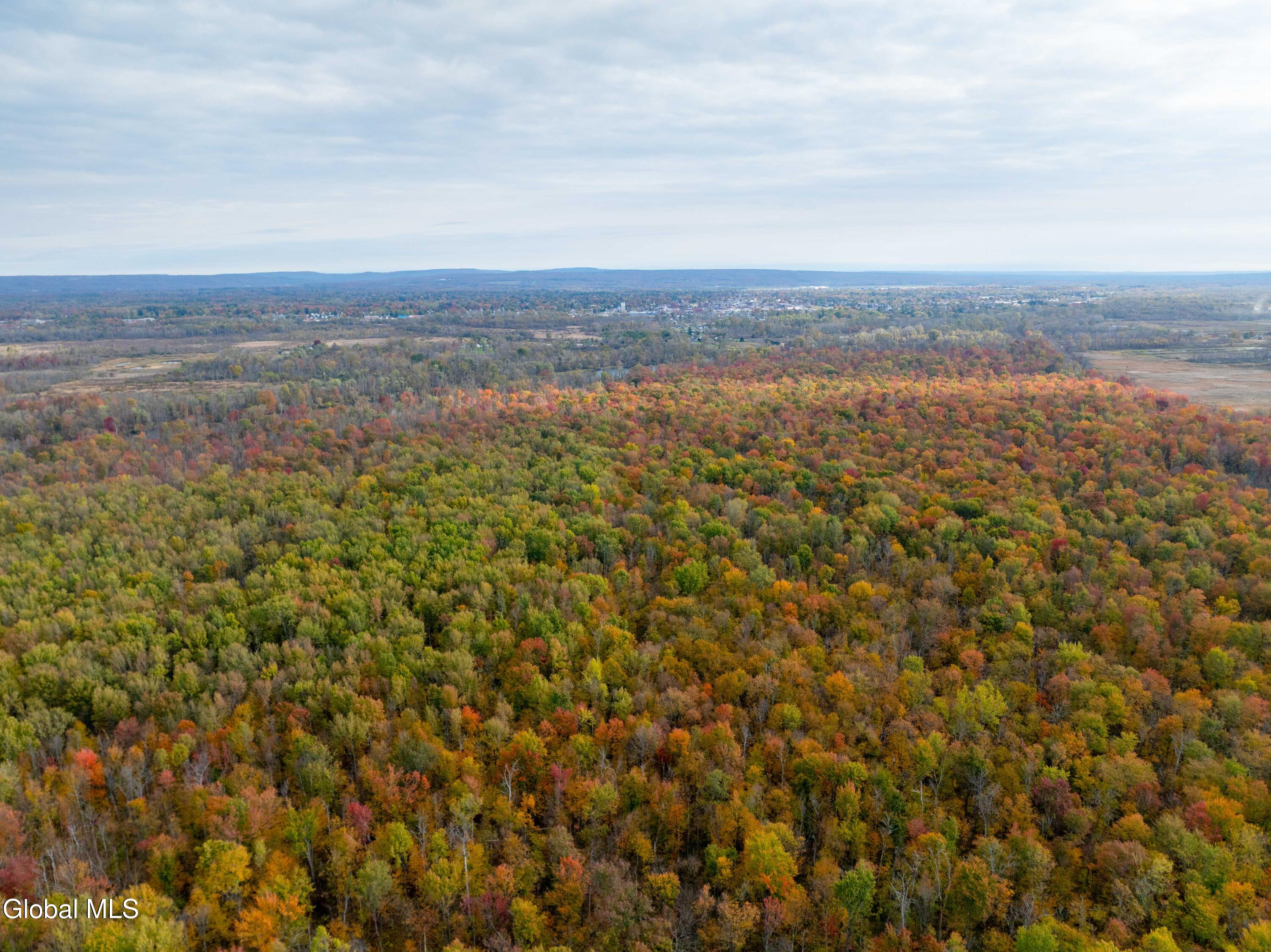 L11 North James Street Rome, NY 13440 - Photo 4 of 19 Rome, S James St-15