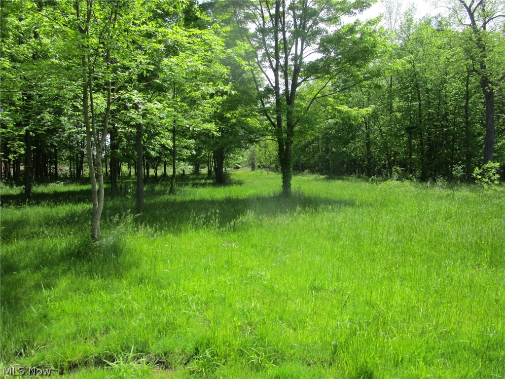Vl Doyle Road Jefferson, OH 44047 - Photo 27 of 42