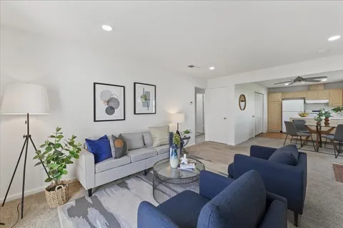 a living room with furniture potted plant and a lamp