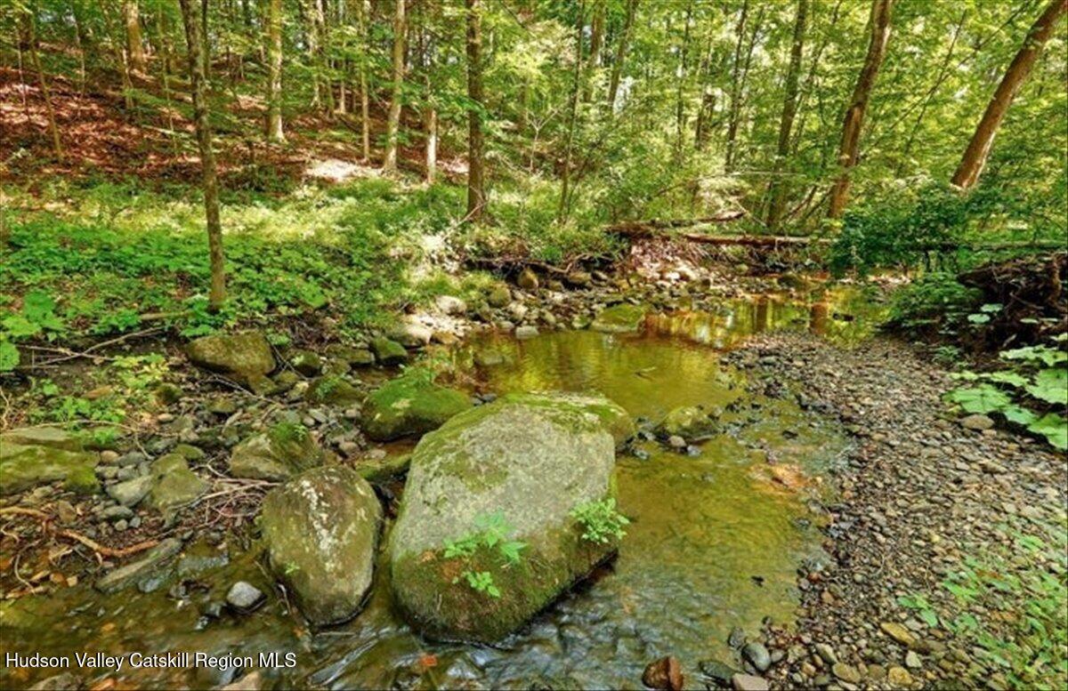266 Scheller Park Road West Coxsackie, NY 12192 - Photo 17 of 26 a view of a garden