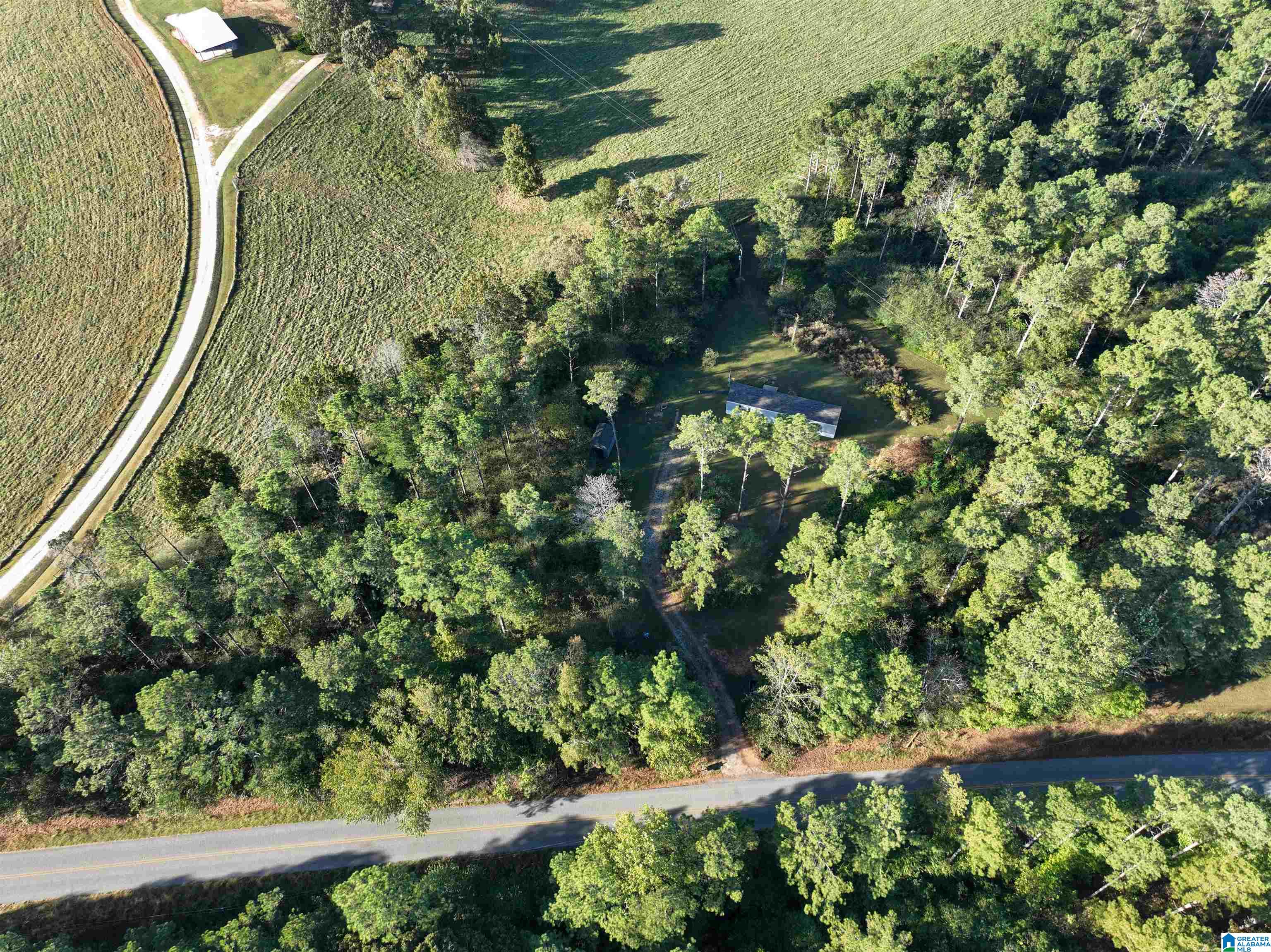 3519 County Road 95 Ranburne, AL 36273 - Photo 10 of 35
