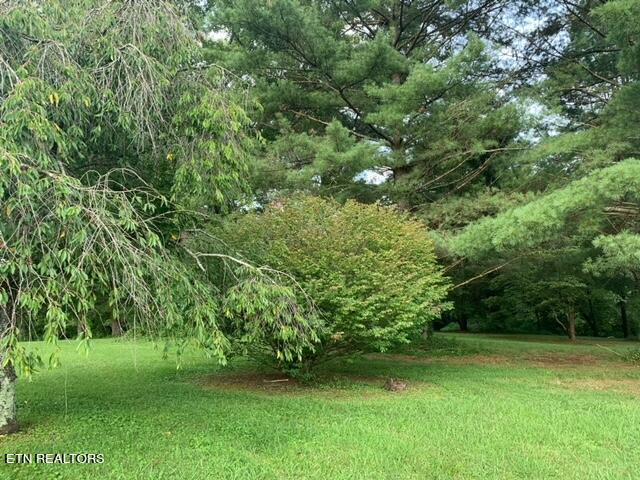 763 Evergreen Road Flat Lick, KY 40935 - Photo 2 of 30 image0 (12)