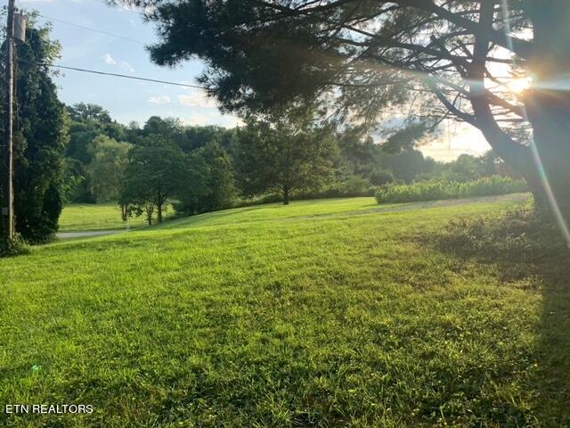 763 Evergreen Road Flat Lick, KY 40935 - Photo 3 of 30 image2 (3)