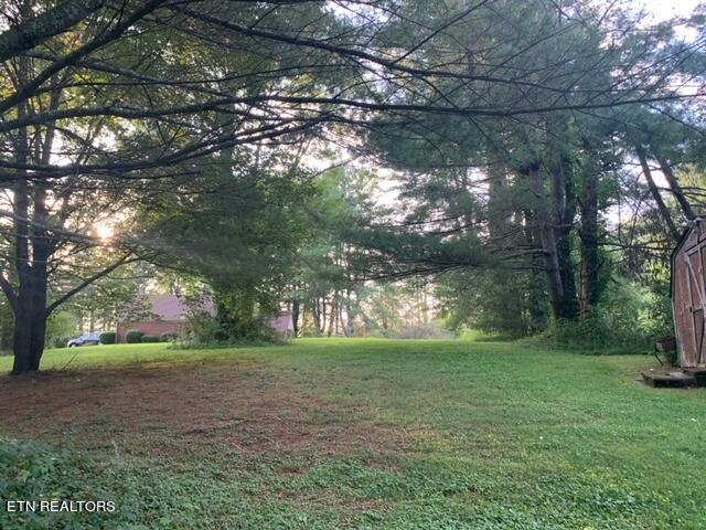 763 Evergreen Road Flat Lick, KY 40935 - Photo 4 of 30 image4 (1)