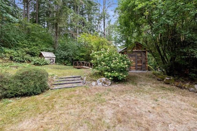 a view of a yard with plants and large trees