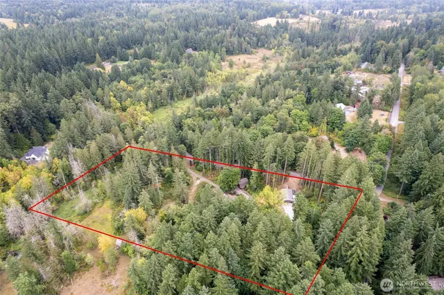 a view of a forest with a small yard