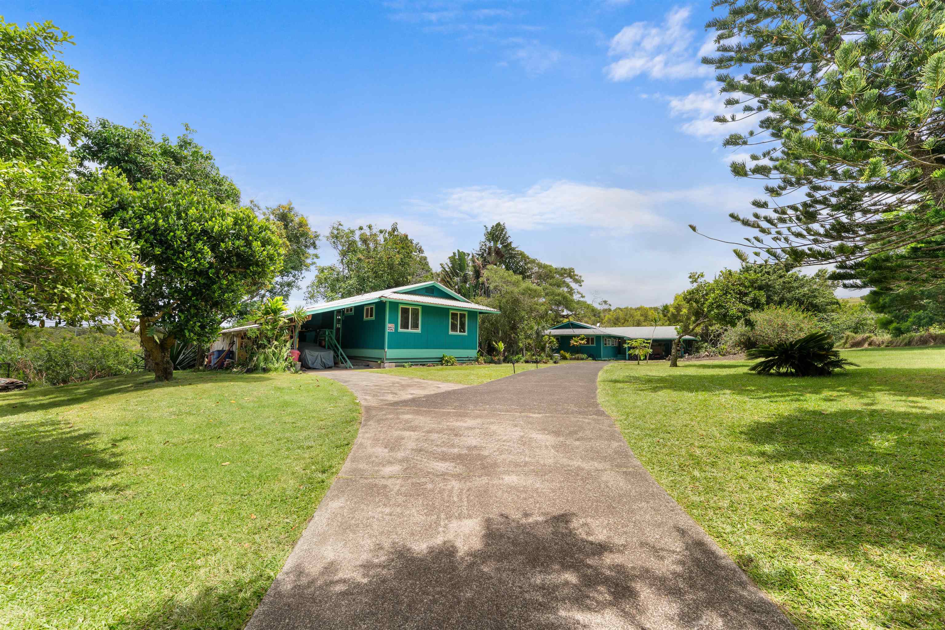 2115 Kaupakalua Road Haiku, HI 96708 - Photo 14 of 26 a view of a park with large trees