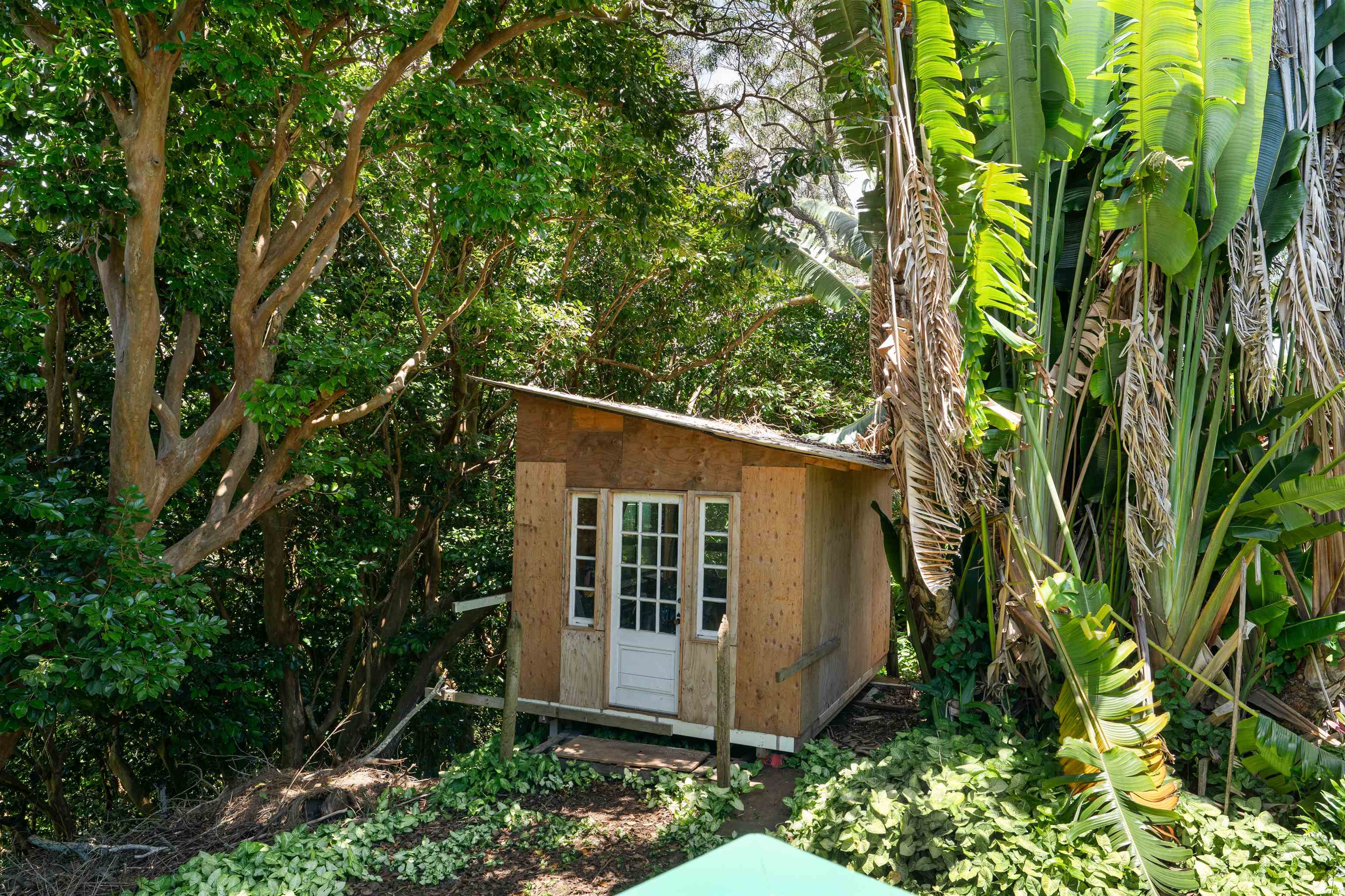 2115 Kaupakalua Road Haiku, HI 96708 - Photo 22 of 26 a view of a small garden