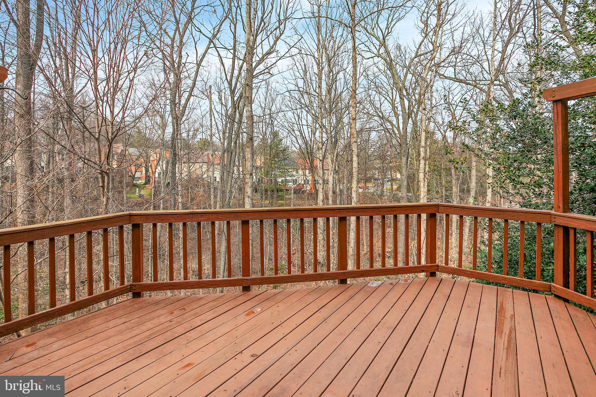 7205 Gentian Court Springfield, VA 22152 - Photo 29 of 38 Backing to trees!