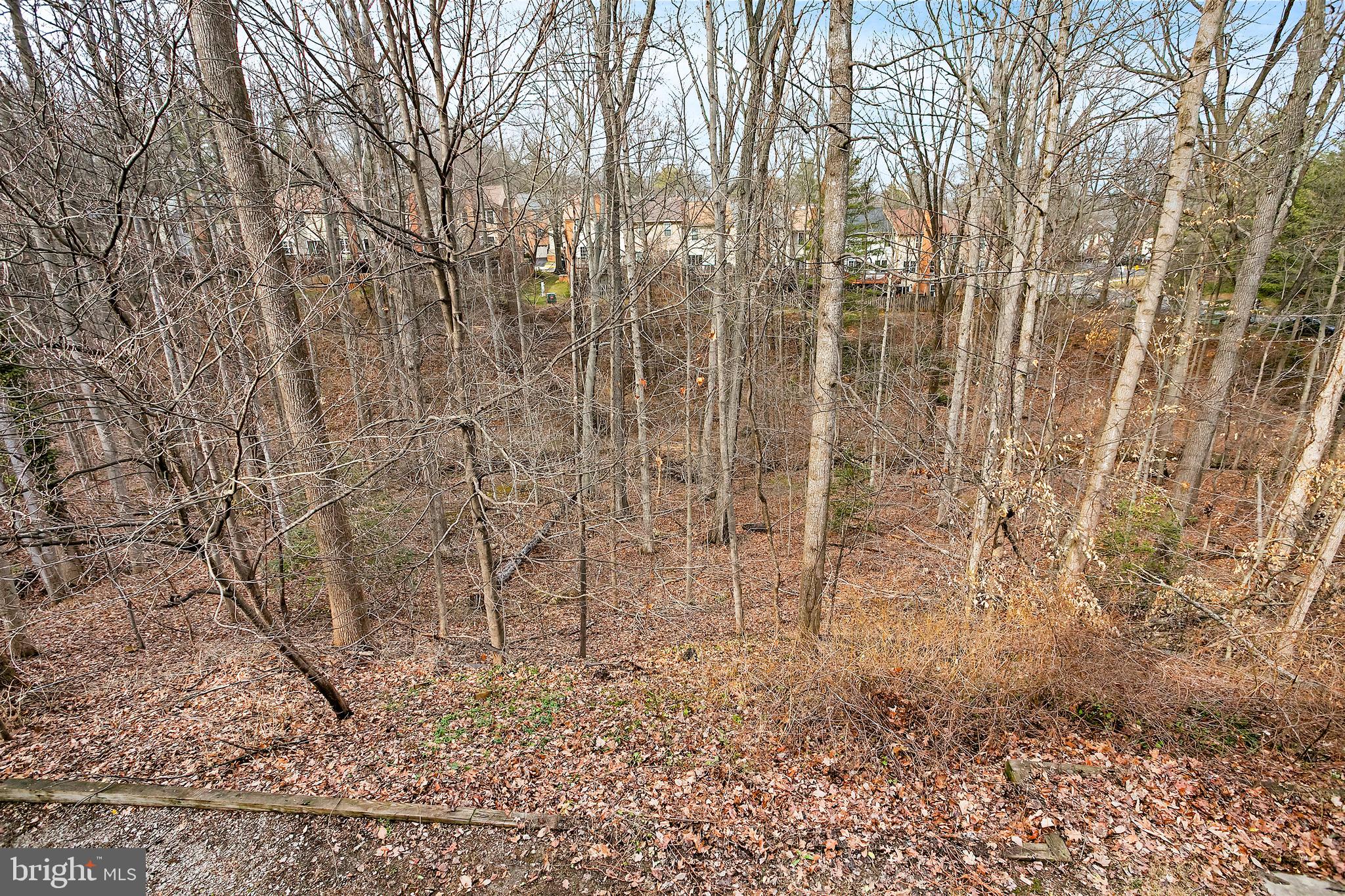 7205 Gentian Court Springfield, VA 22152 - Photo 30 of 38