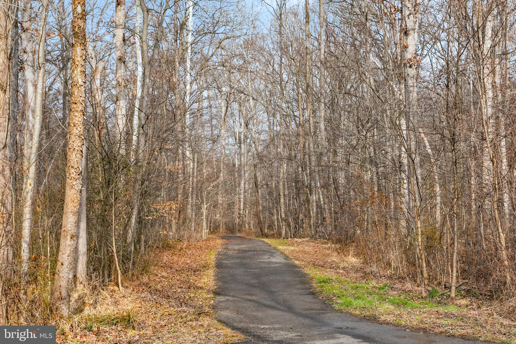 7205 Gentian Court Springfield, VA 22152 - Photo 36 of 38