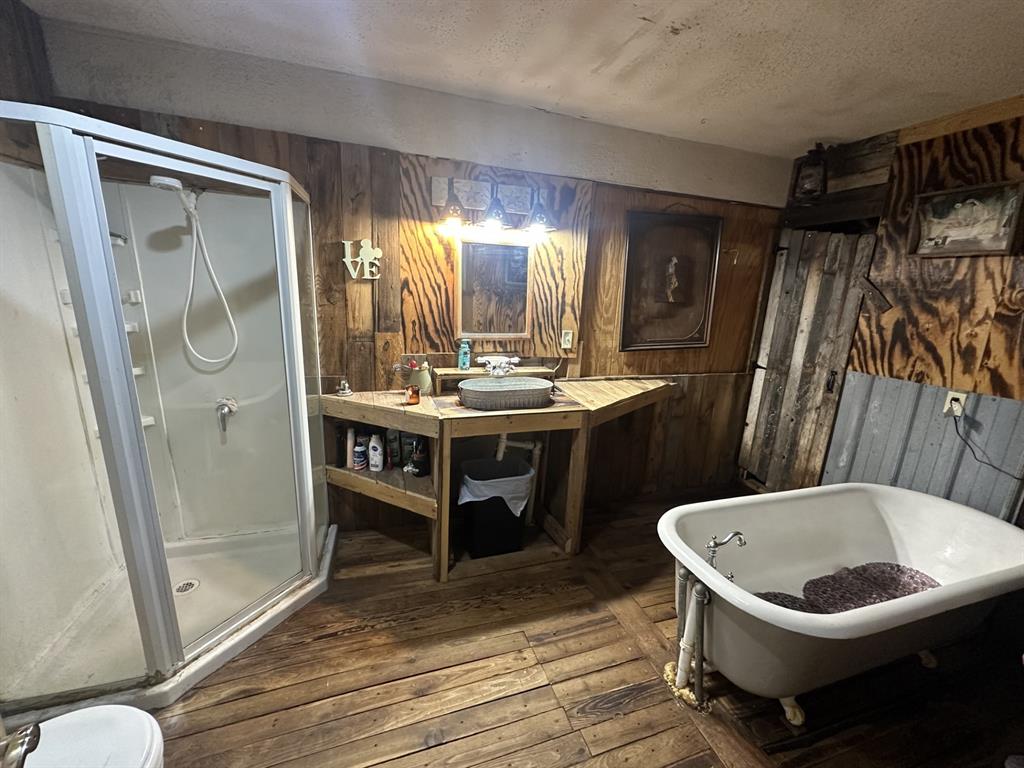 118 Rommel Court Springtown, TX 76082 - Photo 10 of 17 Primary bathroom