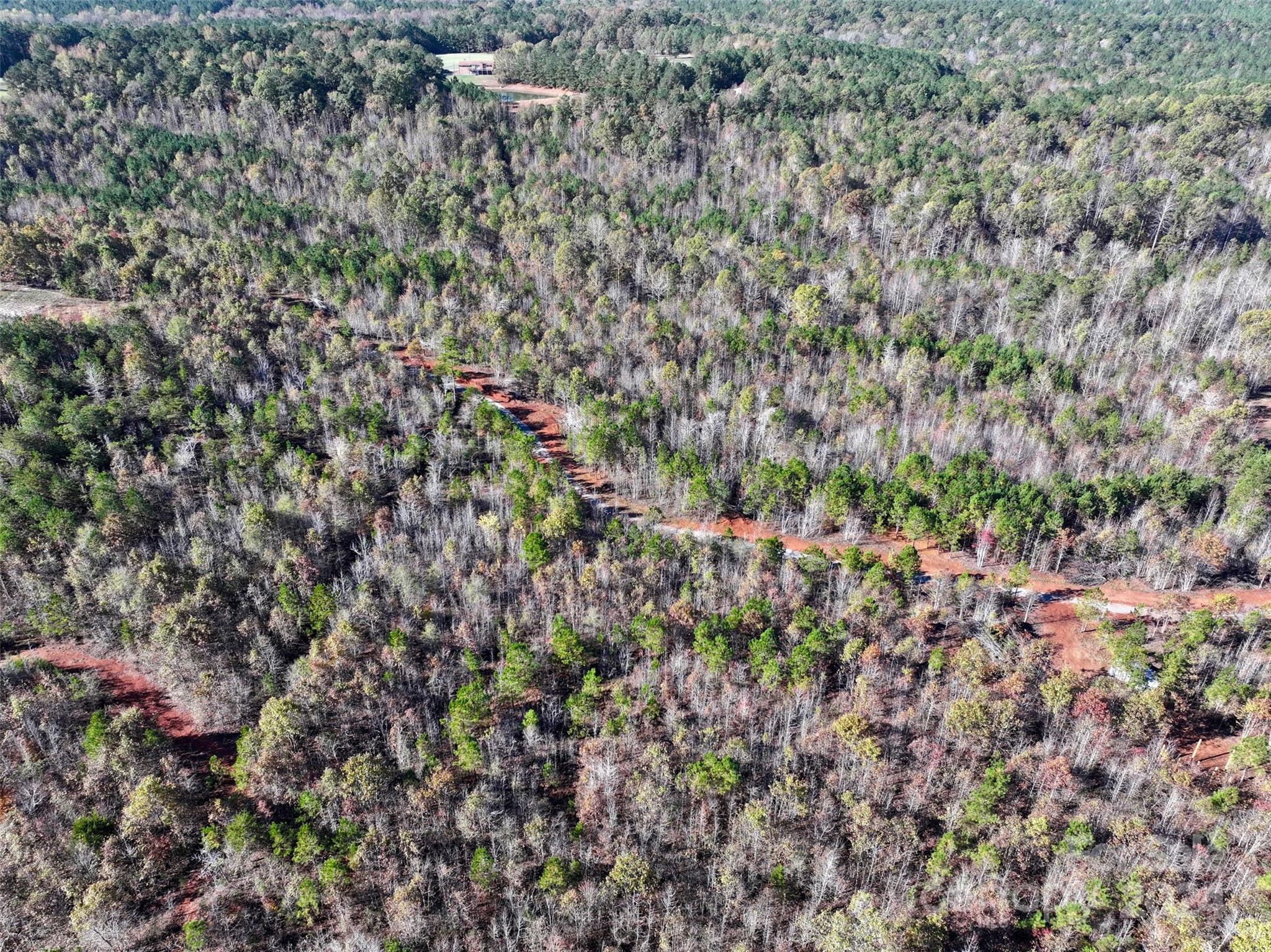 Tbd Horton Road Wadesboro, NC 28170 - Photo 4 of 8 Gallery Image 4