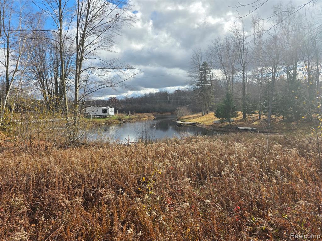 Vl Birch Road Evart, MI 49631 - Photo 4 of 8