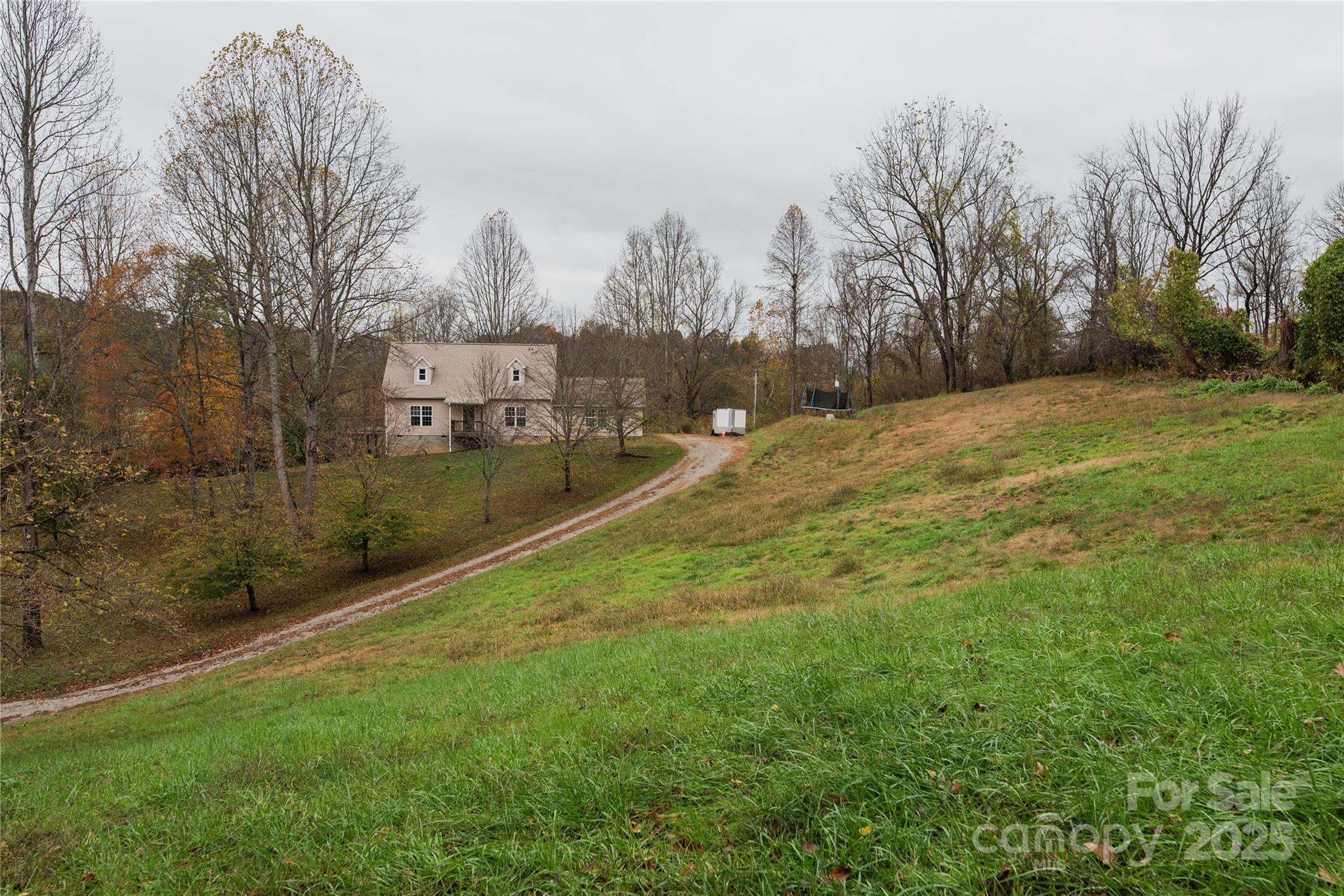 99 Curtis Parker Road Alexander, NC 28701 - Photo 21 of 24 a view of a yard with trees