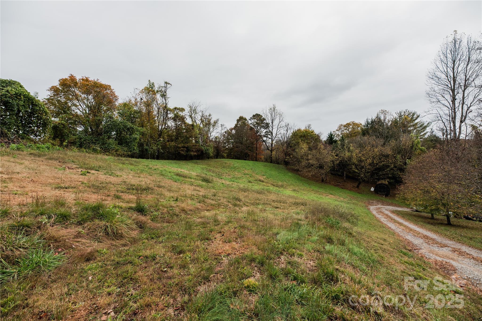 99 Curtis Parker Road Alexander, NC 28701 - Photo 22 of 24 a view of a field with trees in the background