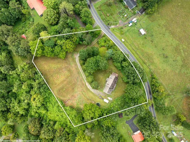 a view of a yard with plants