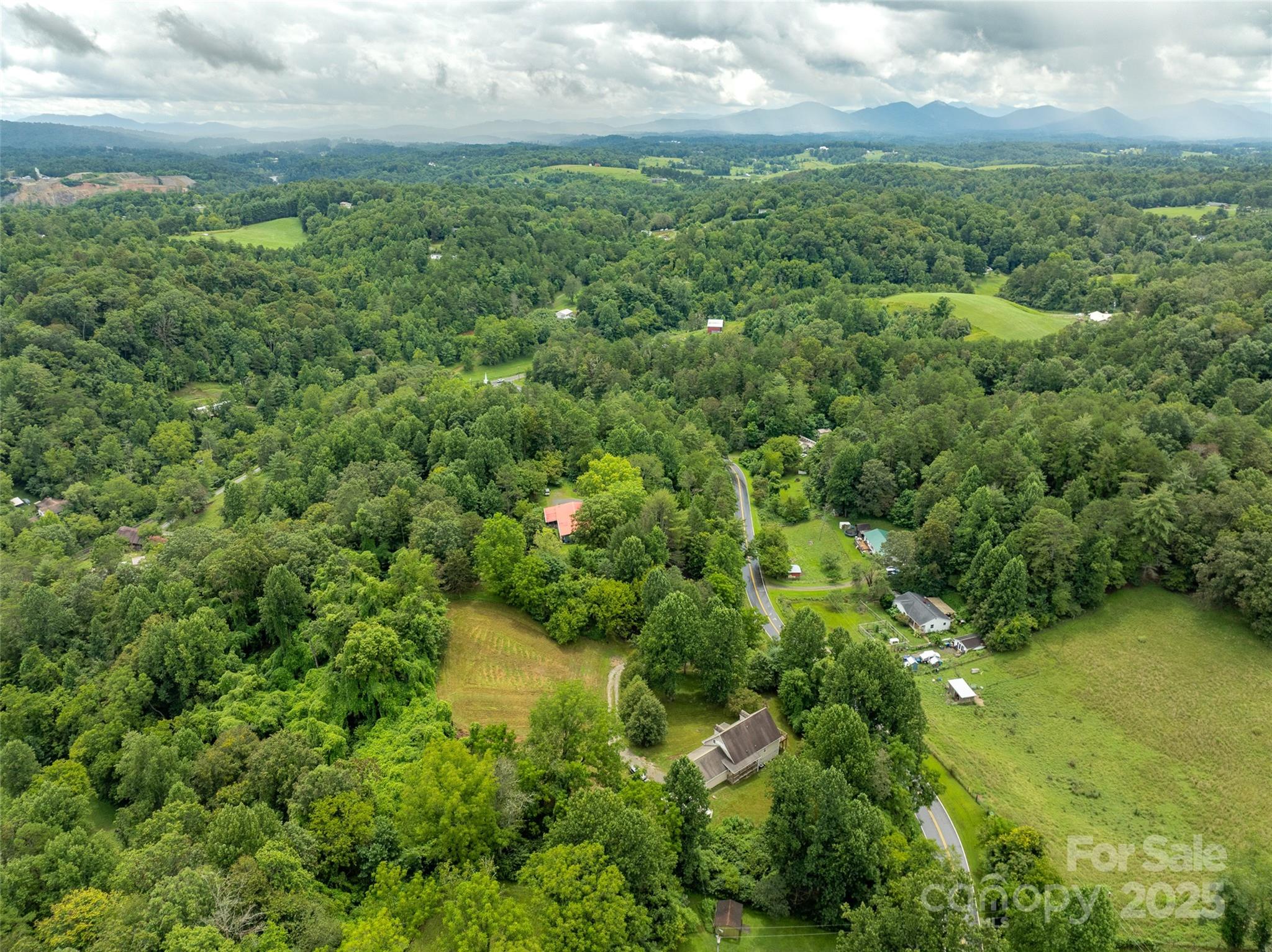 99 Curtis Parker Road Alexander, NC 28701 - Photo 24 of 24 an aerial view of residential houses with outdoor space and trees