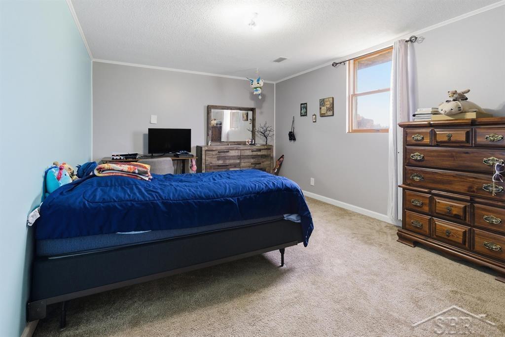 4469 East Millbrook Road Mount Pleasant, MI 48858 - Photo 20 of 43