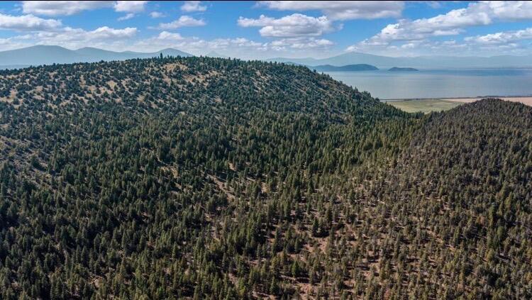 0 Simpson Canyon Road, Unit 26 Klamath Falls, OR 97601 - Photo 16 of 19 1000011013