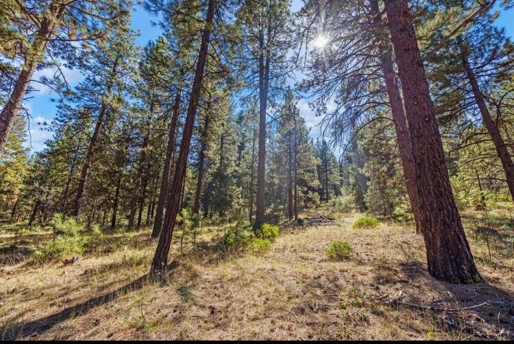 0 Simpson Canyon Road, Unit 26 Klamath Falls, OR 97601 - Photo 2 of 19 1000011001