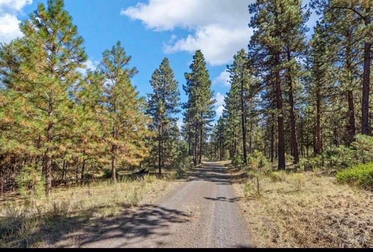 0 Simpson Canyon Road, Unit 26 Klamath Falls, OR 97601 - Photo 5 of 19 1000010993