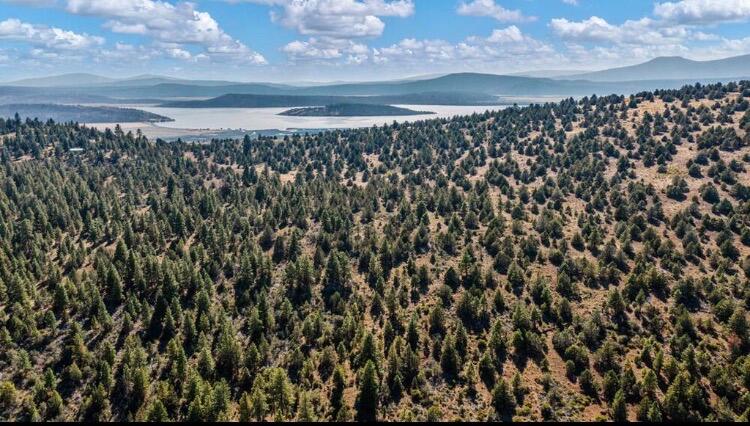 0 Simpson Canyon Road, Unit 26 Klamath Falls, OR 97601 - Photo 9 of 19 1000010996