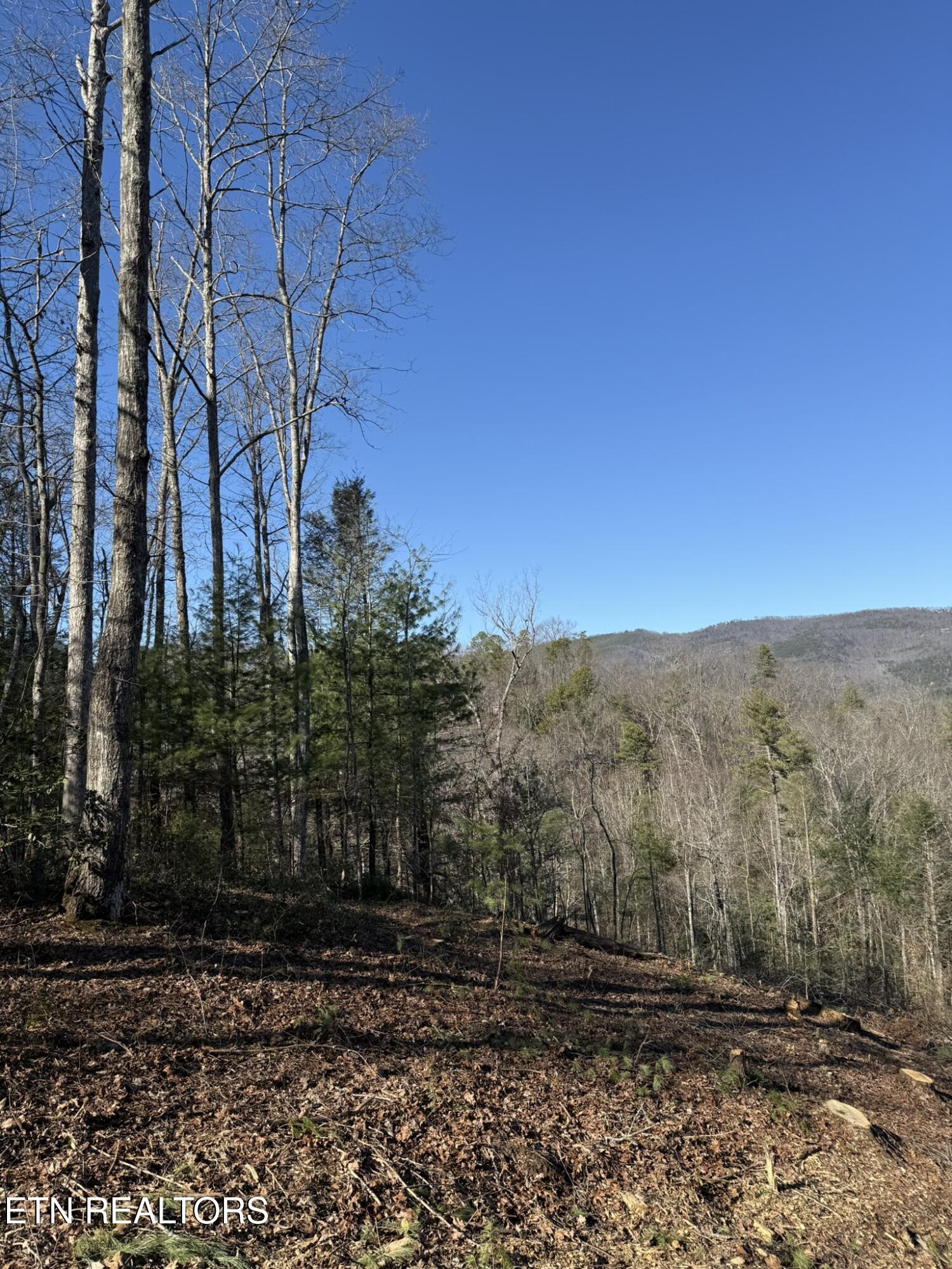 Lot# 6 Taylors Ridge (journeys End ) Road Walland, TN 37886 - Photo 11 of 32 Taylors Ridge