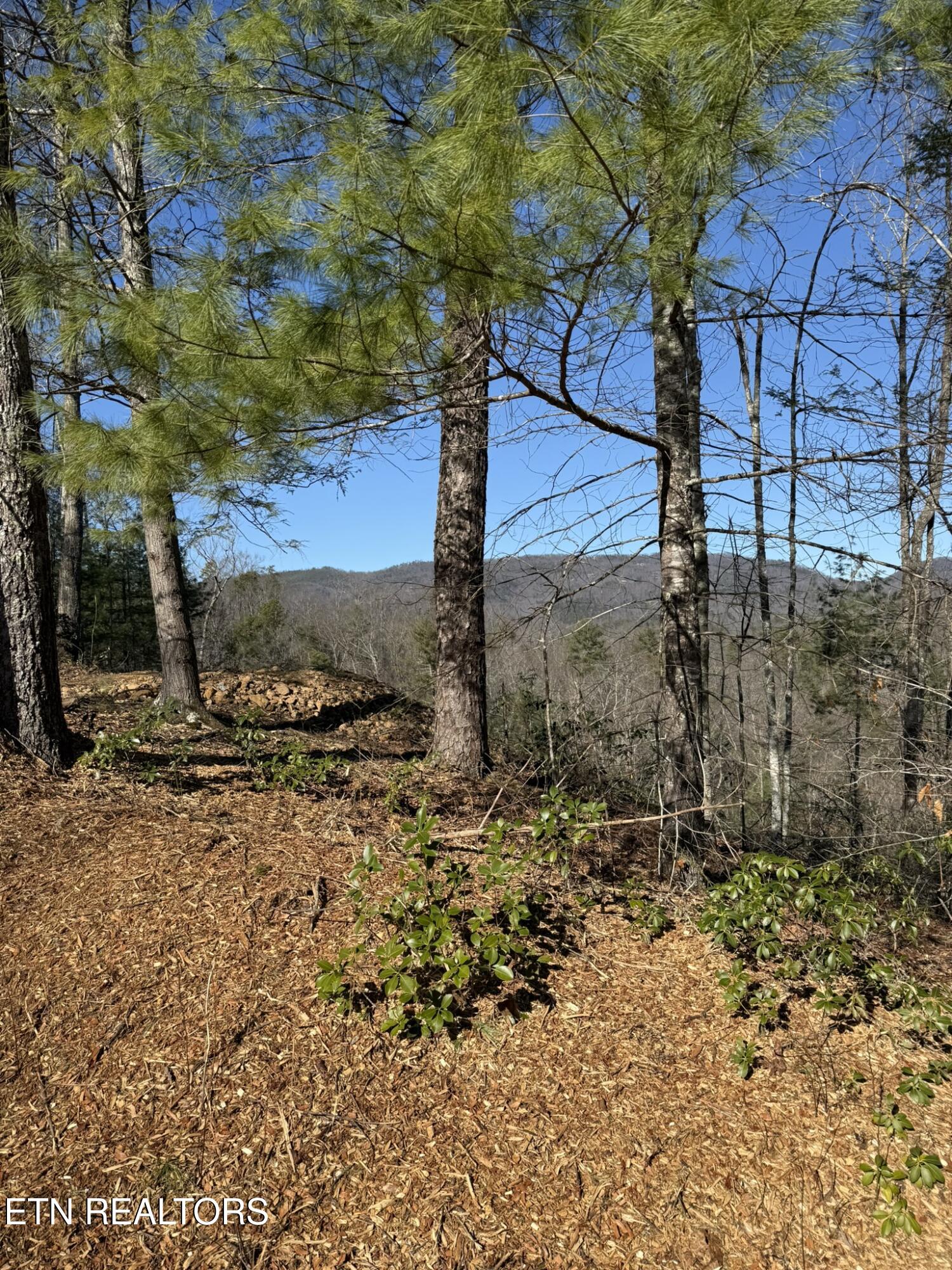 Lot# 6 Taylors Ridge (journeys End ) Road Walland, TN 37886 - Photo 12 of 32 Taylors Ridge