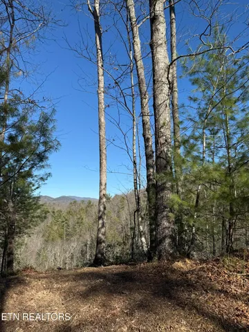 $99,900 | Lot# 6 Taylors Ridge (journeys End ) Road, Walland, TN 37886