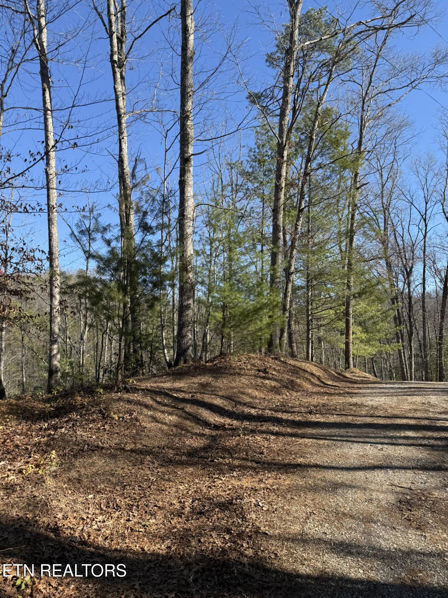 Lot# 6 Taylors Ridge (journeys End ) Road Walland, TN 37886 - Photo 15 of 32 Taylors Ridge